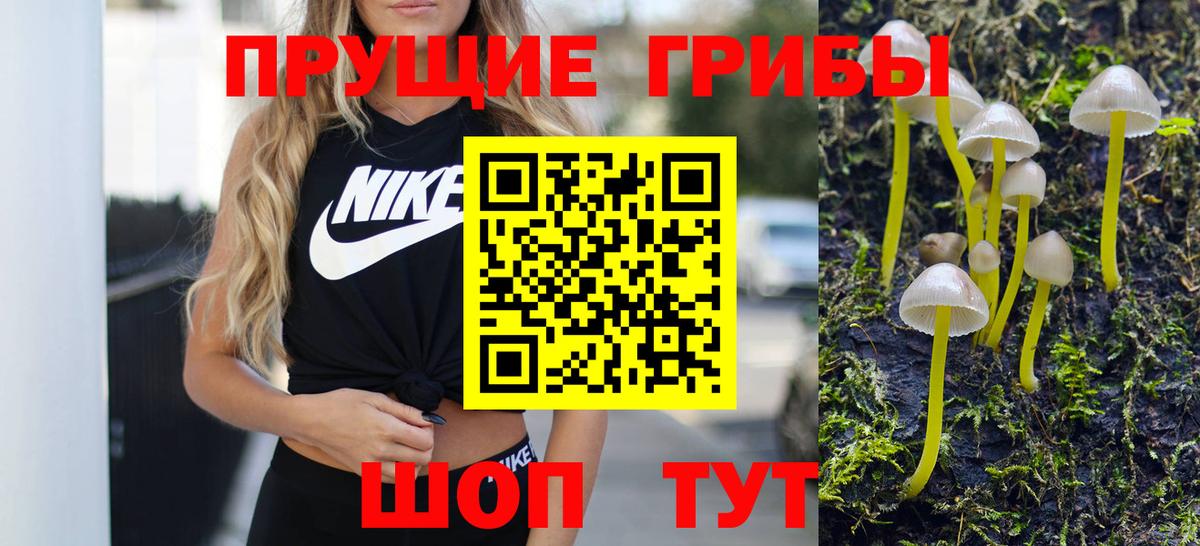 хочу наркоту  Вход с VPN  Арзамас  Псилоцибиновые грибы прущие грибы  Псилоцибиновые грибы прущие грибы 